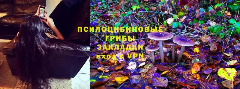 гидра зеркало  купить   Жигулёвск  Псилоцибиновые грибы Magic Shrooms 